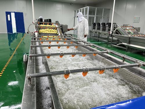 衡水新聞網